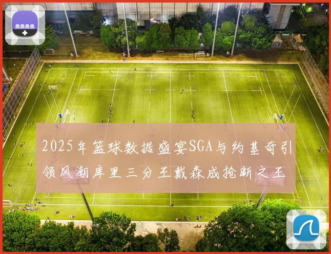 2025年篮球数据盛宴SGA与约基奇引领风潮库里三分王戴森成抢断之王