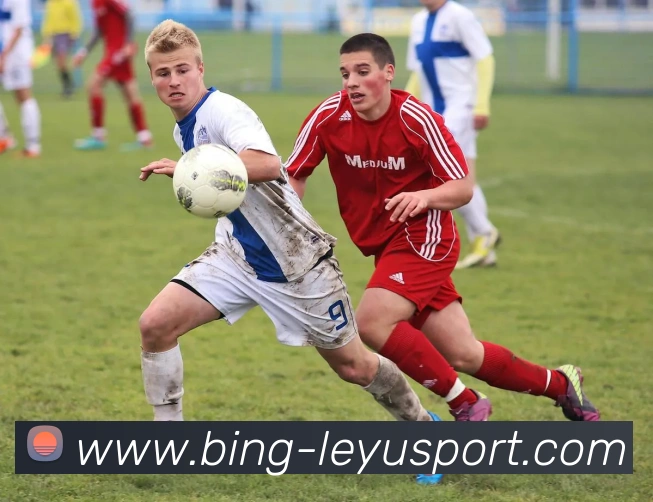 乐鱼体育发展历程